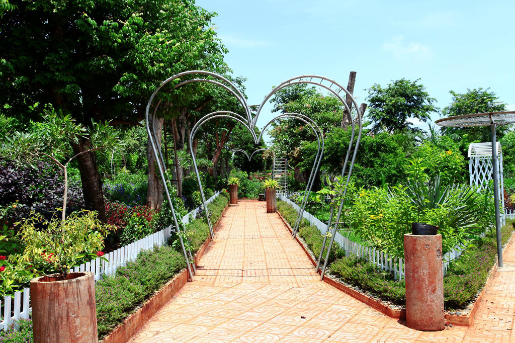 Du Lịch Sinh Thái Đồi Thông