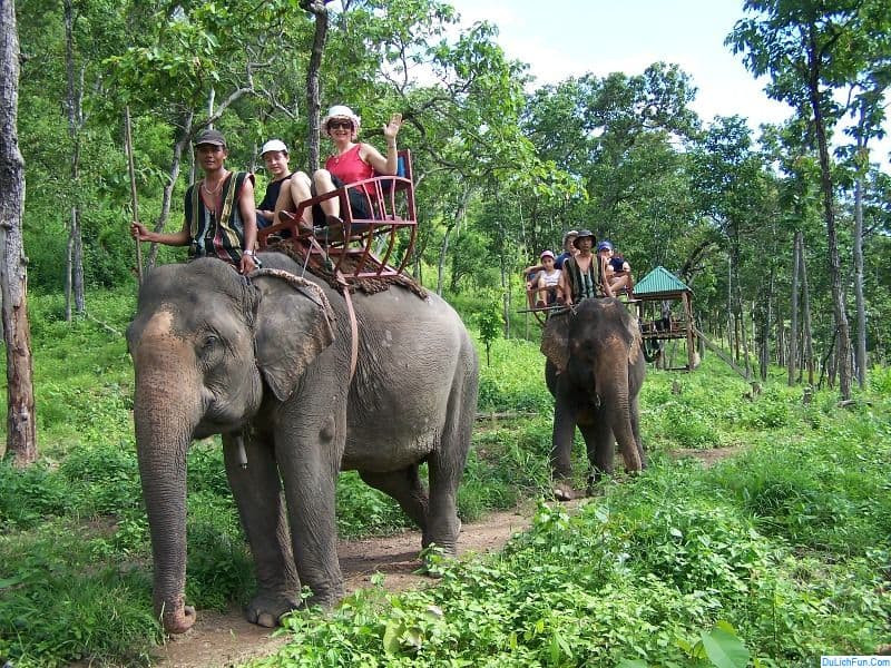 Vườn Quốc Gia Yok Don - Yok Don National Park