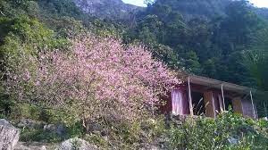 Chùa Hồ Thiên