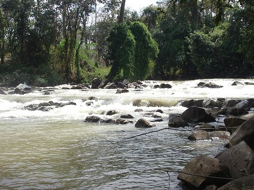 Thác Bảy Nhánh
