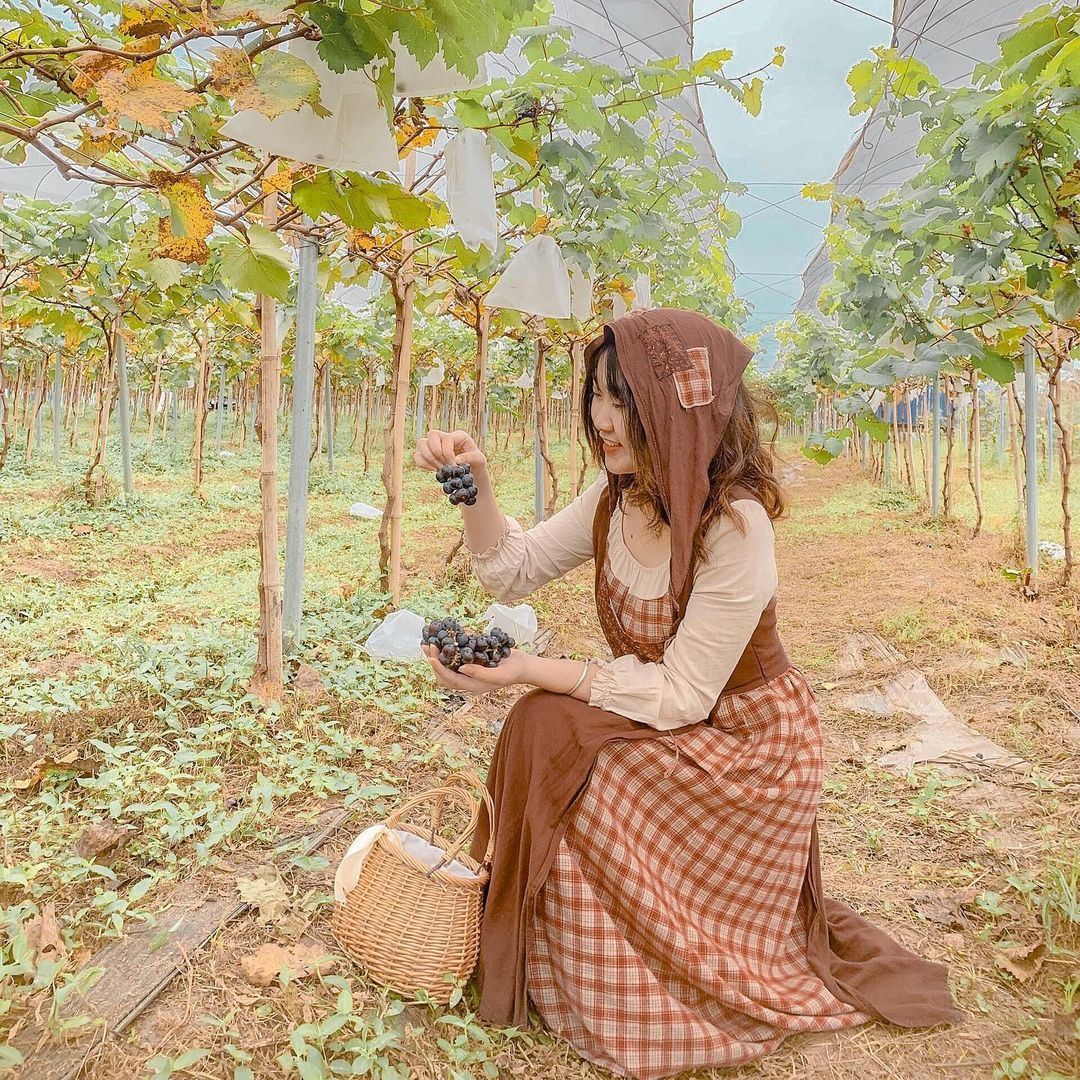 Vườn dâu Chimi Farm 4
