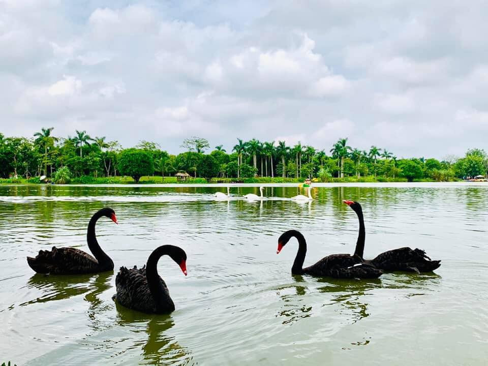 CÔNG VIÊN HỒ THIÊN NGA, ECOPARK