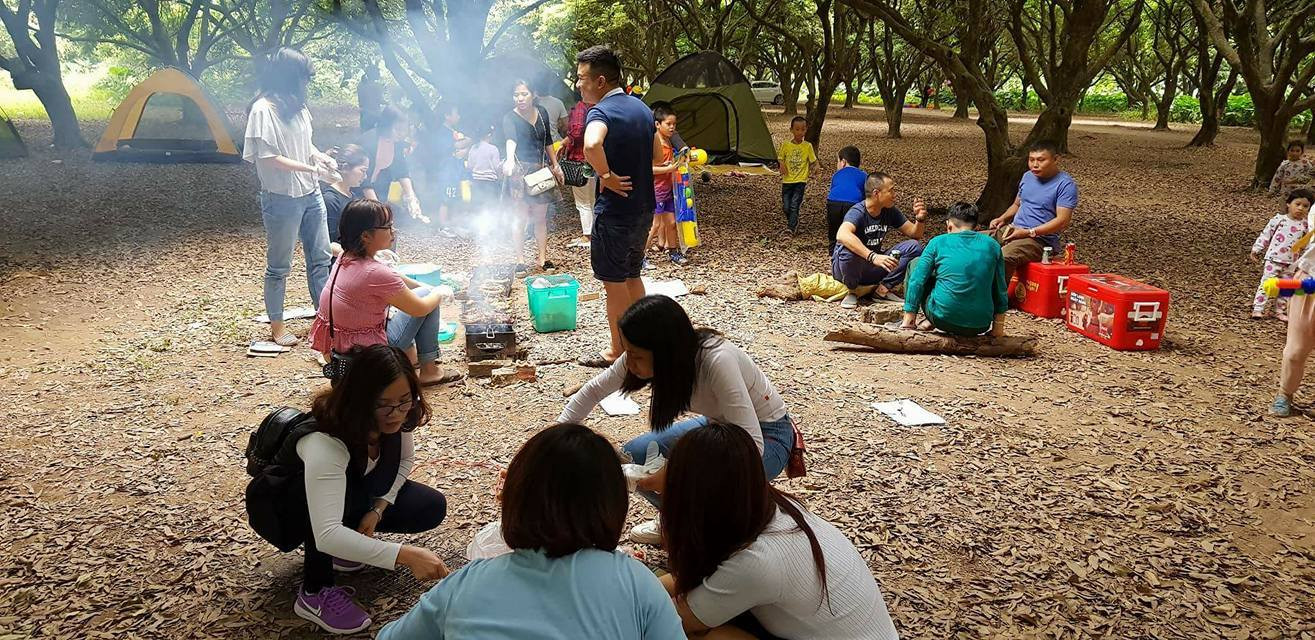 VƯỜN NHÃN VĨNH TUY