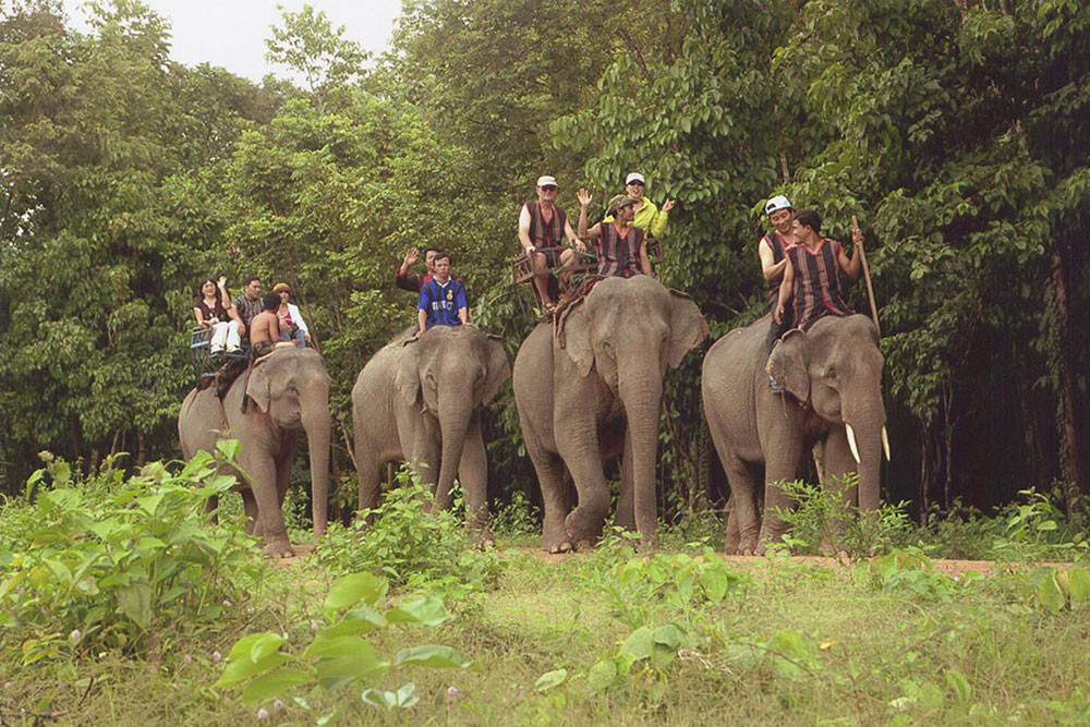 Vườn Quốc Gia Yok Don - Yok Don National Park