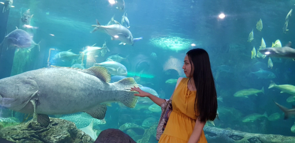 Thủy cung Times City