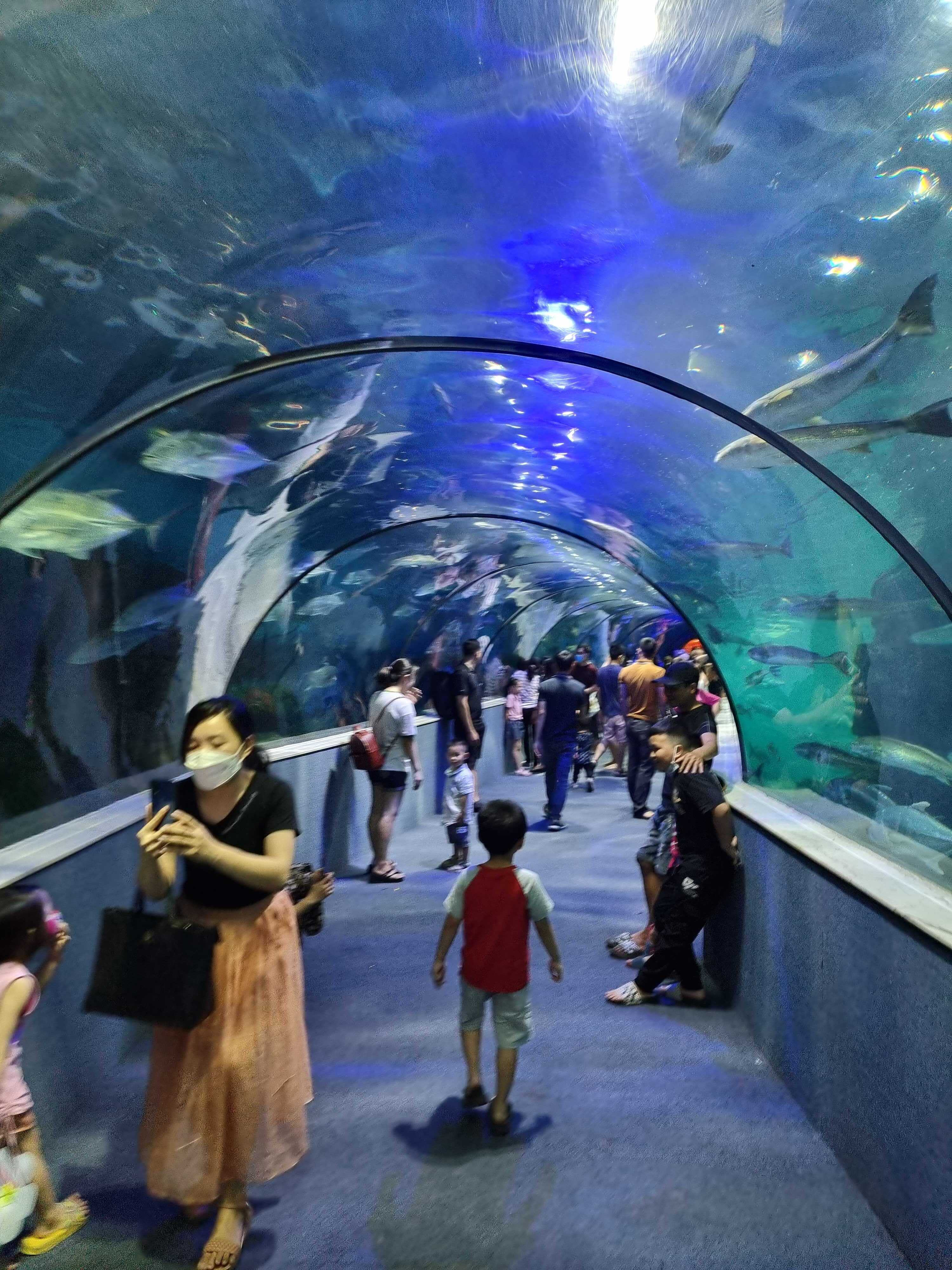 Thủy cung Times City