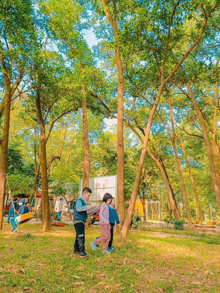 Hàm Rồng Lakeside