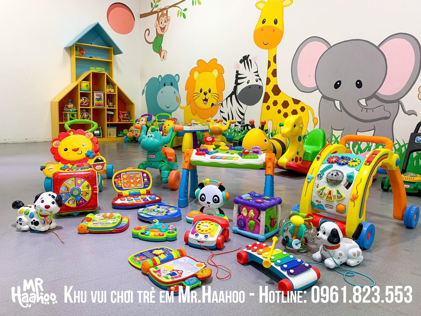 Mr.Haahoo