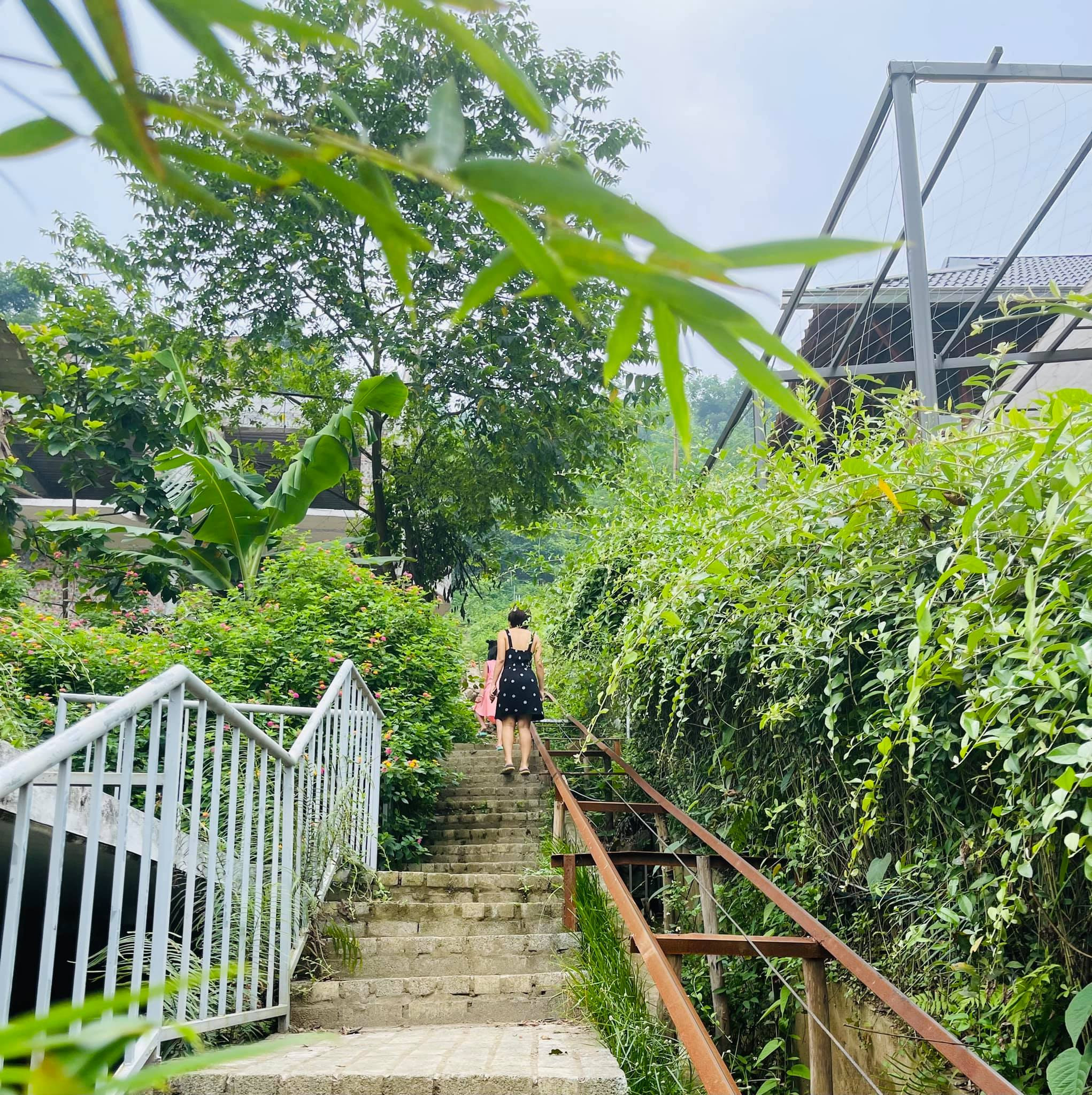 Nhà trên đồi
