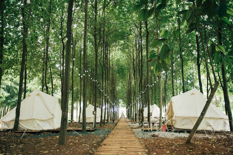 Sao Đen Camping Ba Vì