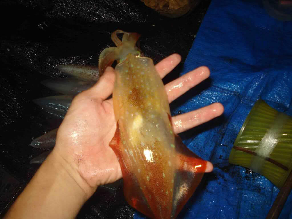 Biển Cửa Lò