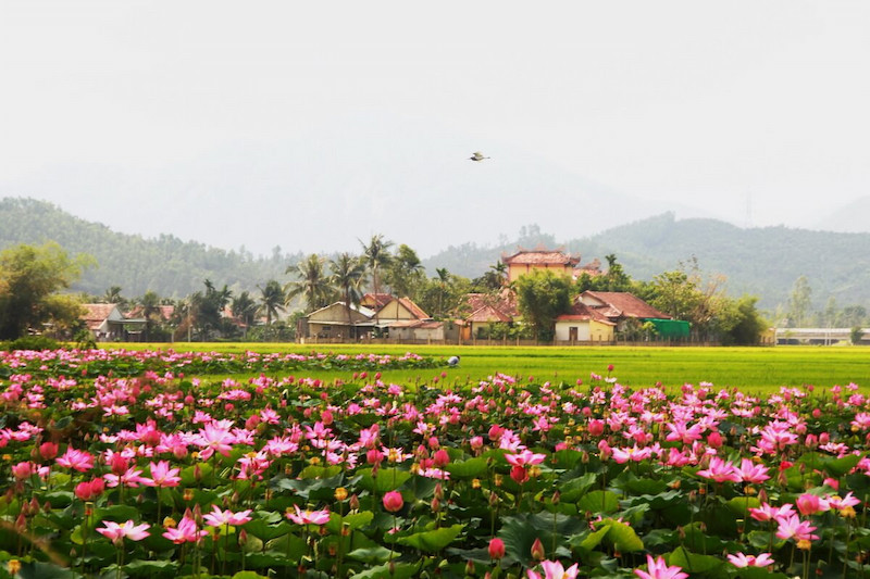 Đồng Tháp Mười