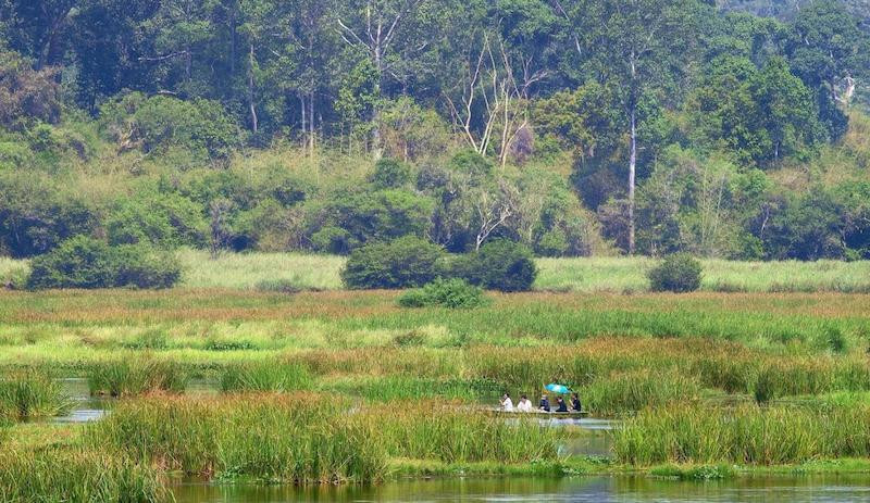 bàu sấu