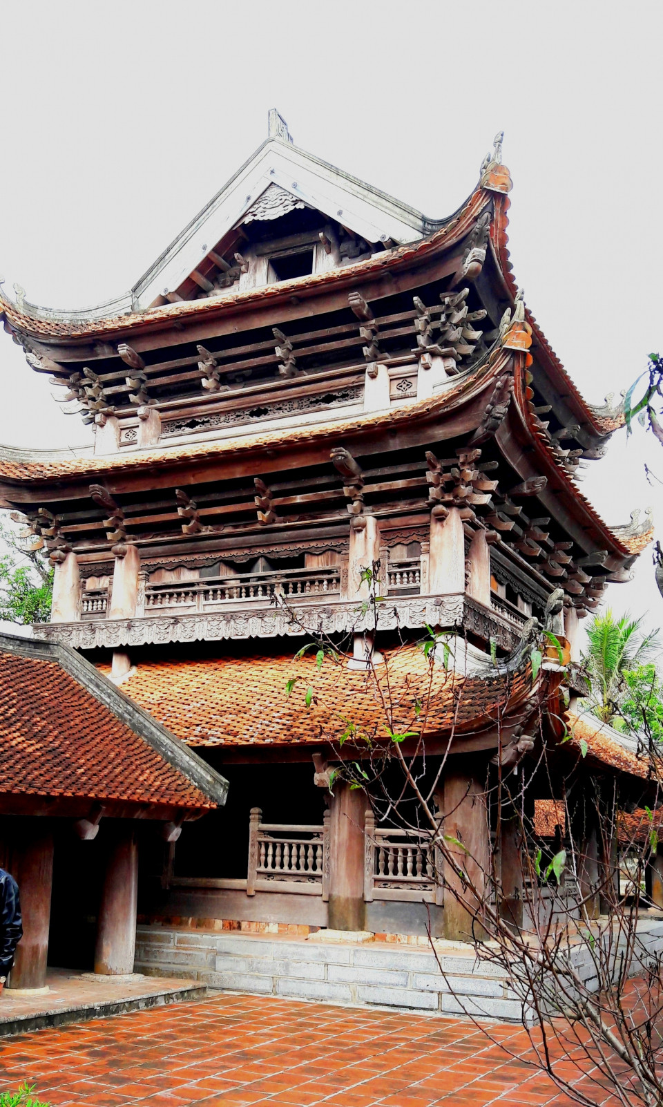 thái bình quê lúa