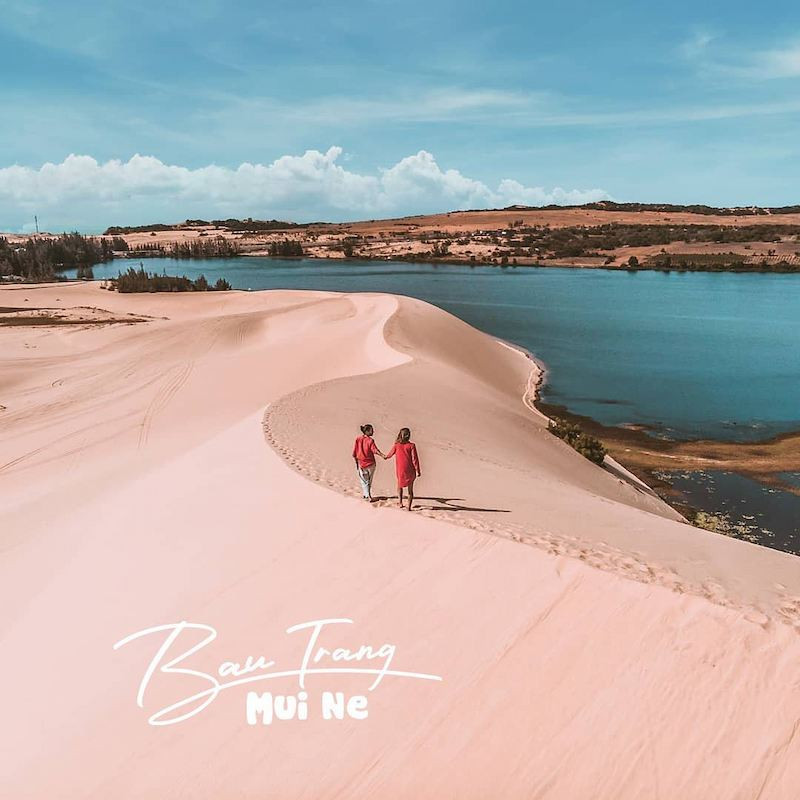 bàu trắng
