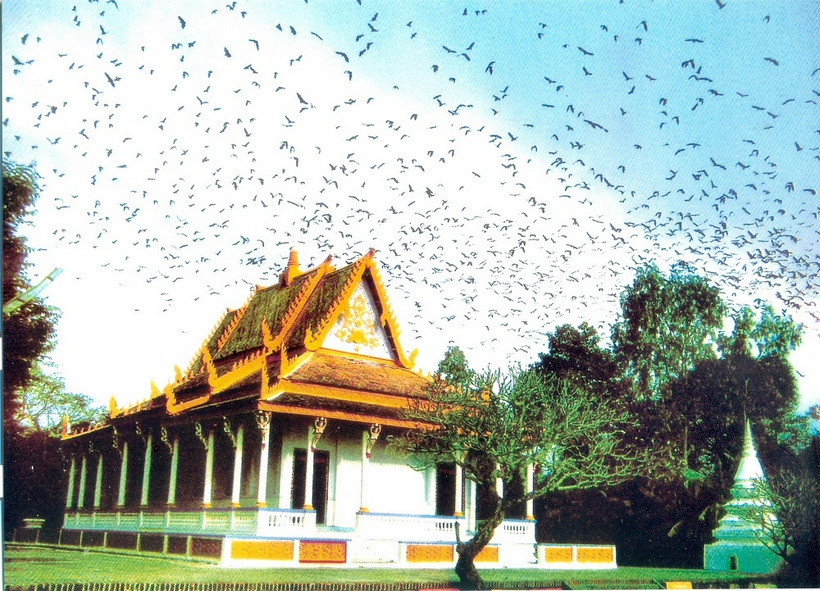 Chùa Dơi