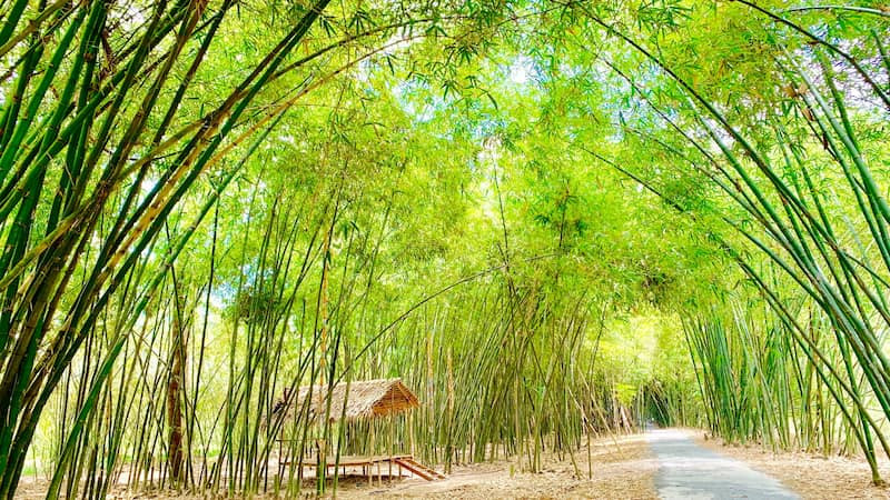 con-duong-tre-dep-nhat-hau-giang-1-1-1673281897