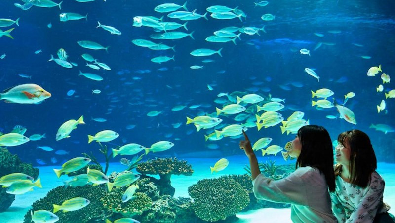 thuy-cung-aquarium-times-city
