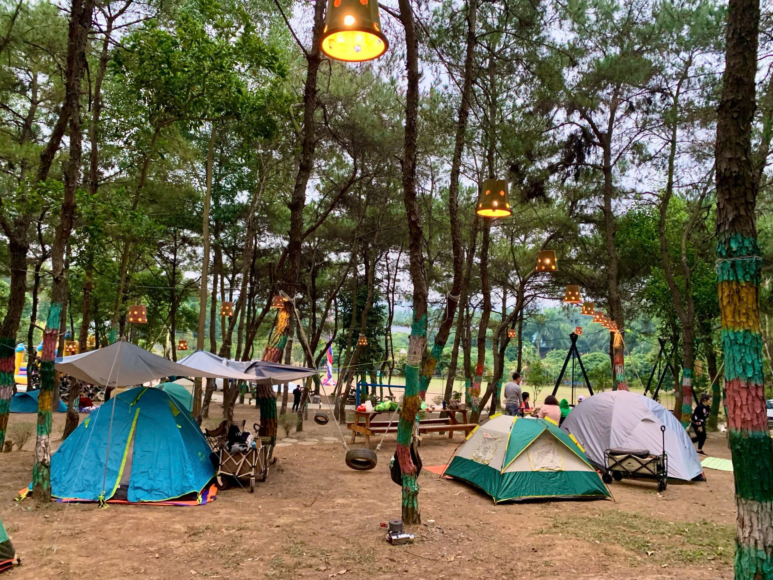 My Camping
