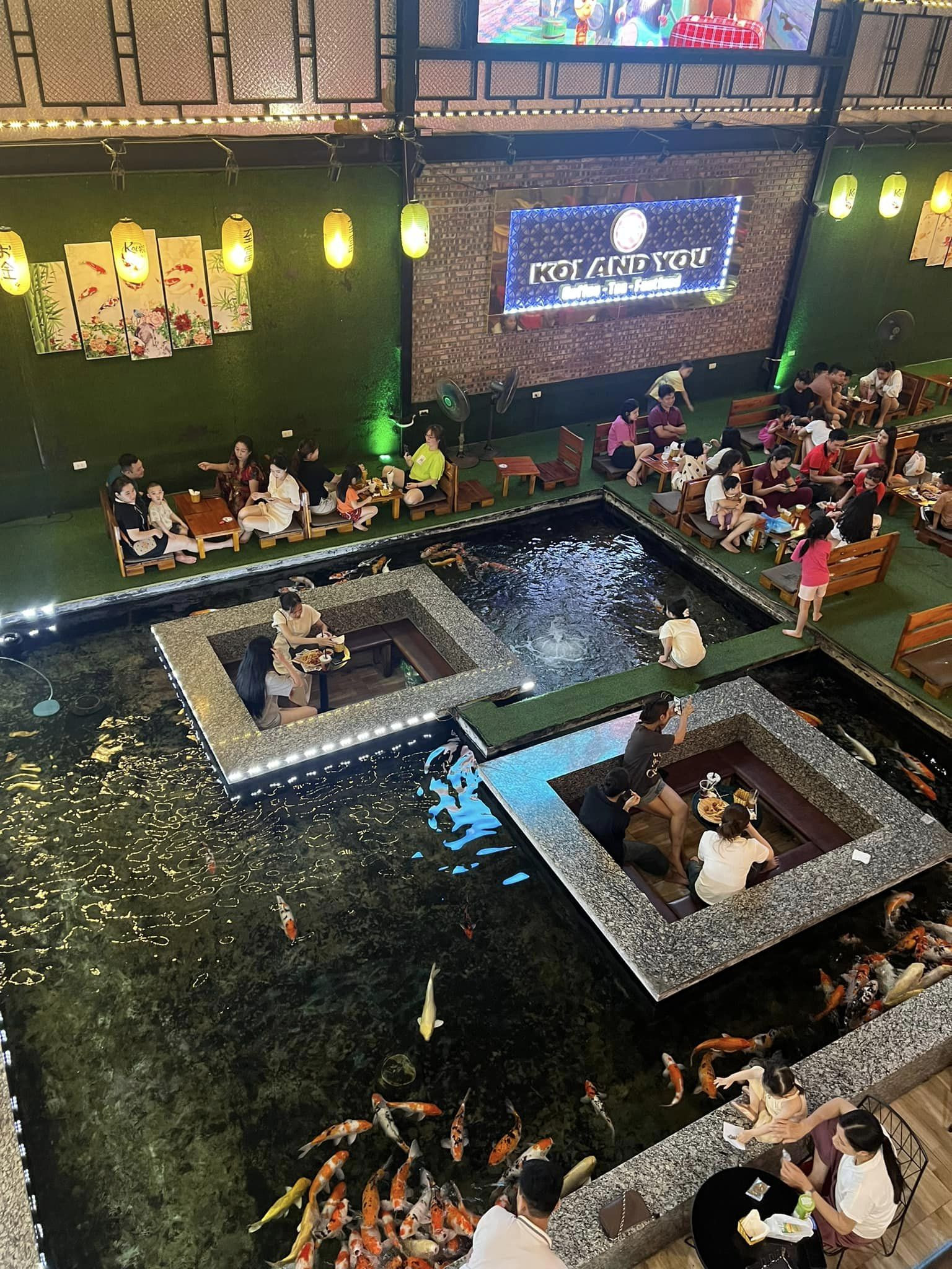 KOI AND YOU Tuyên Quang