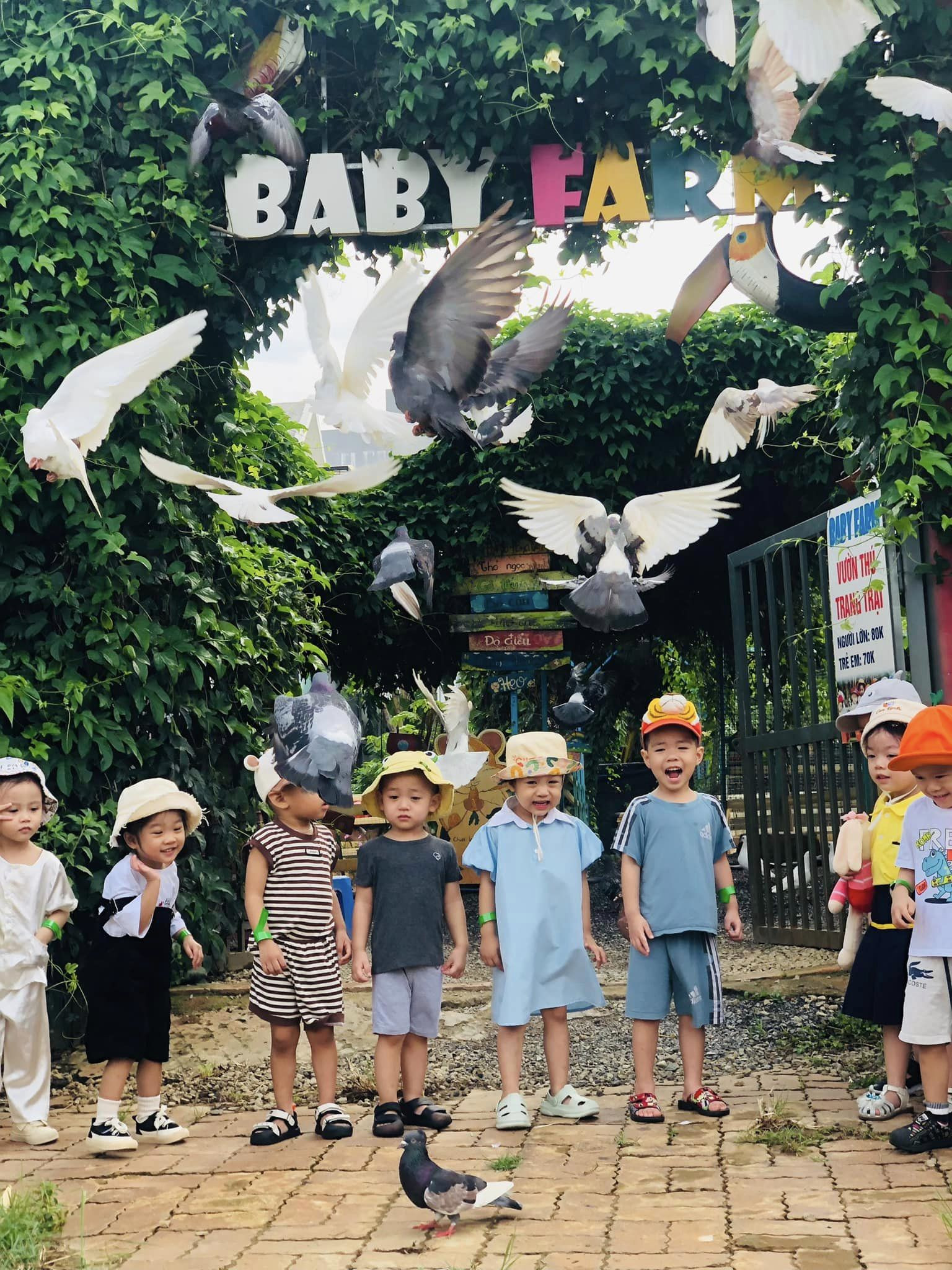 Baby Farm Đà Nẵng