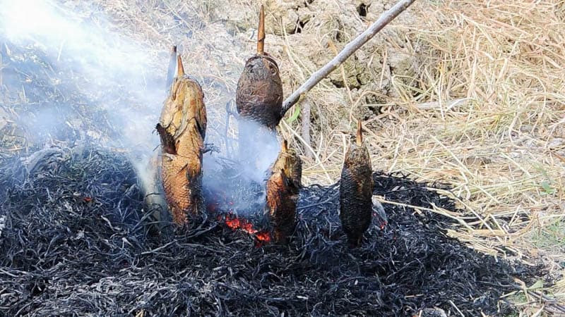 Cá lóc nướng trui