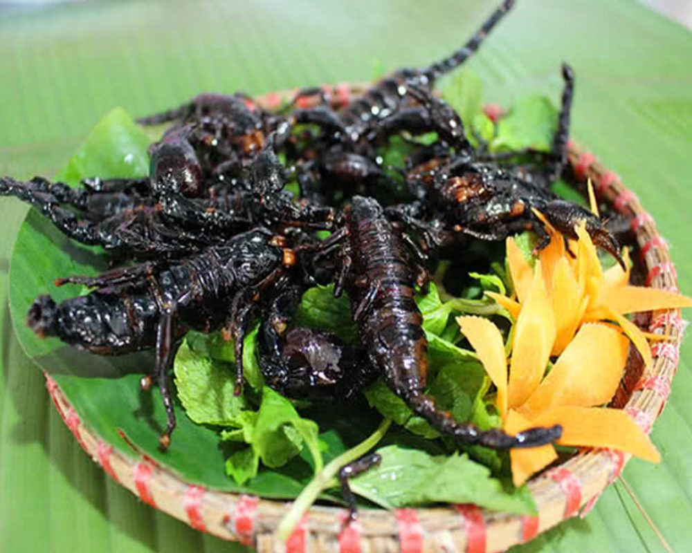 bo-cap-bay-nui-an-giang