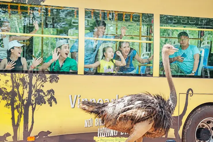 Đặt vé du lịch Phú Quốc trên Traveloka