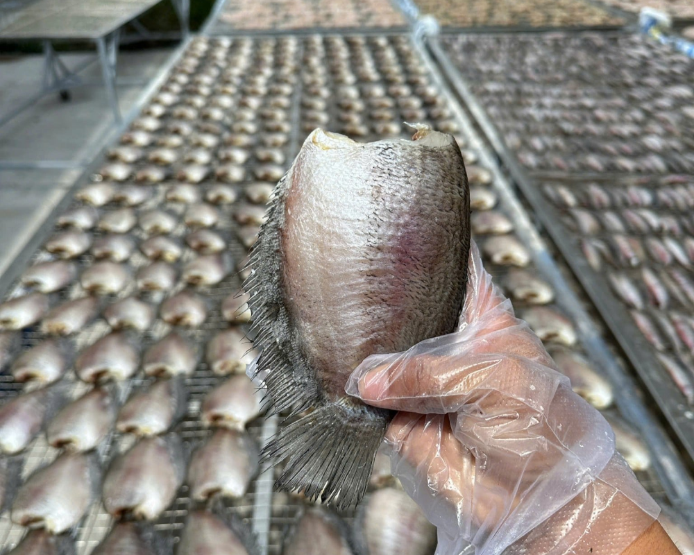 kho-ca-mau-kho-ca-sac-u-minh-kho-tom-kho-ca-keo