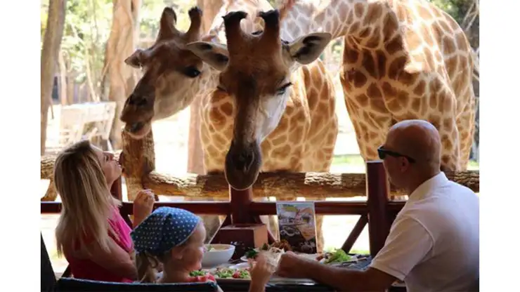 Vinpearl Safari Phú Quốc 