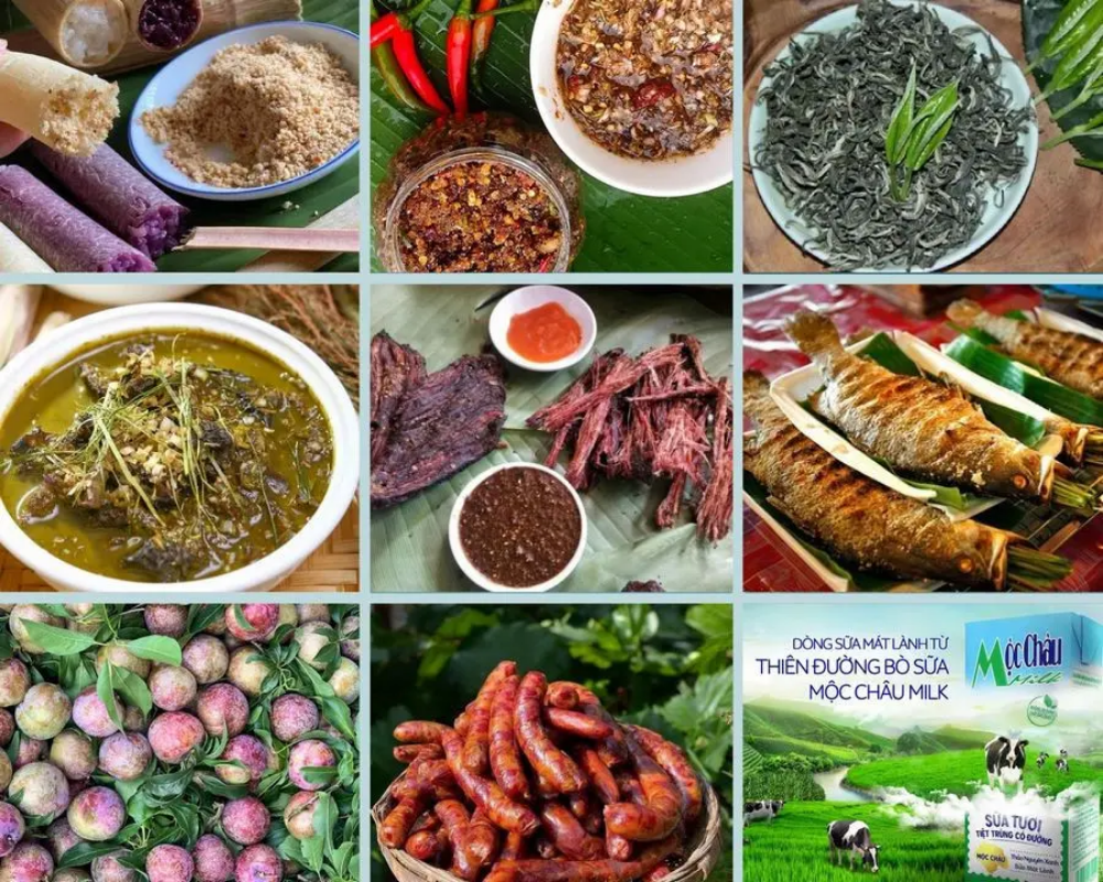 đặc sản Sơn La đỉnh cao ẩm thực miền núi chinh phục cả những thực khách khó tính nhất