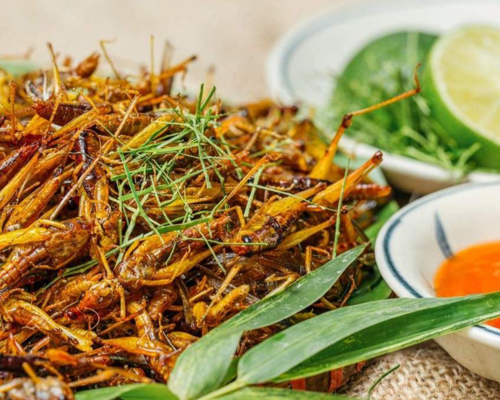 de-com-chien-nuoc-mam