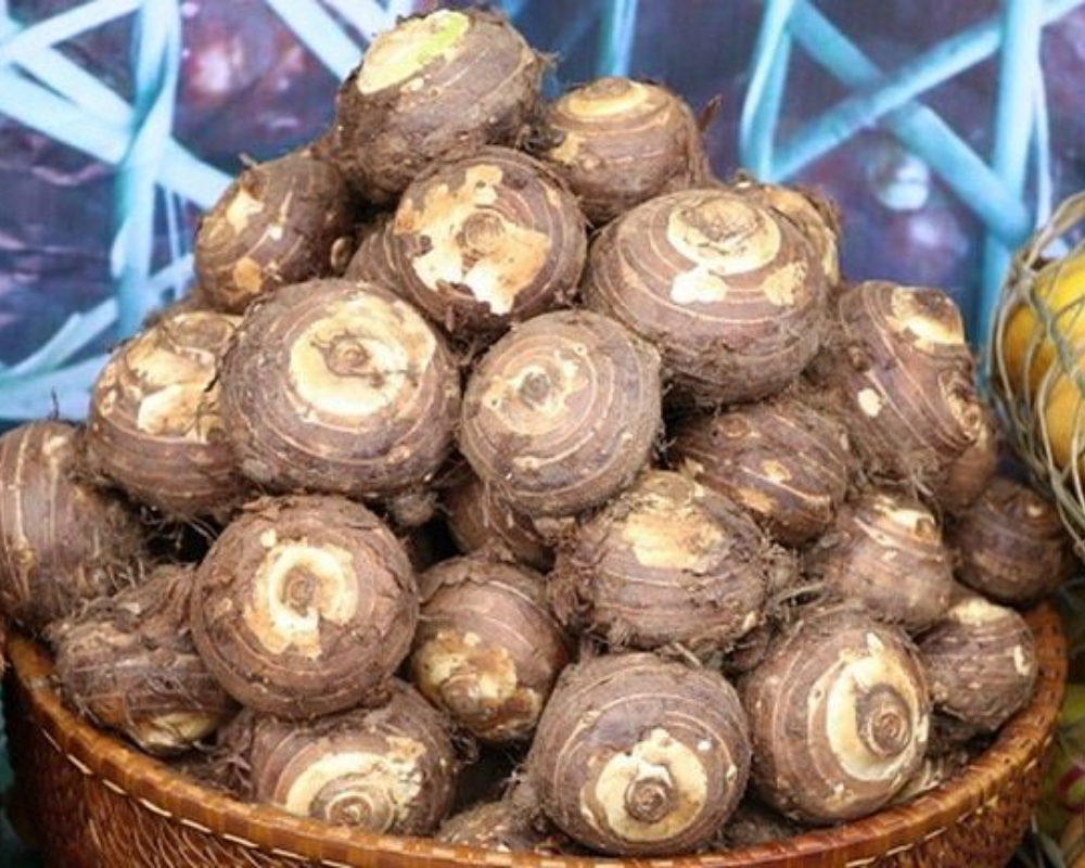 khoai-so-nam-lau