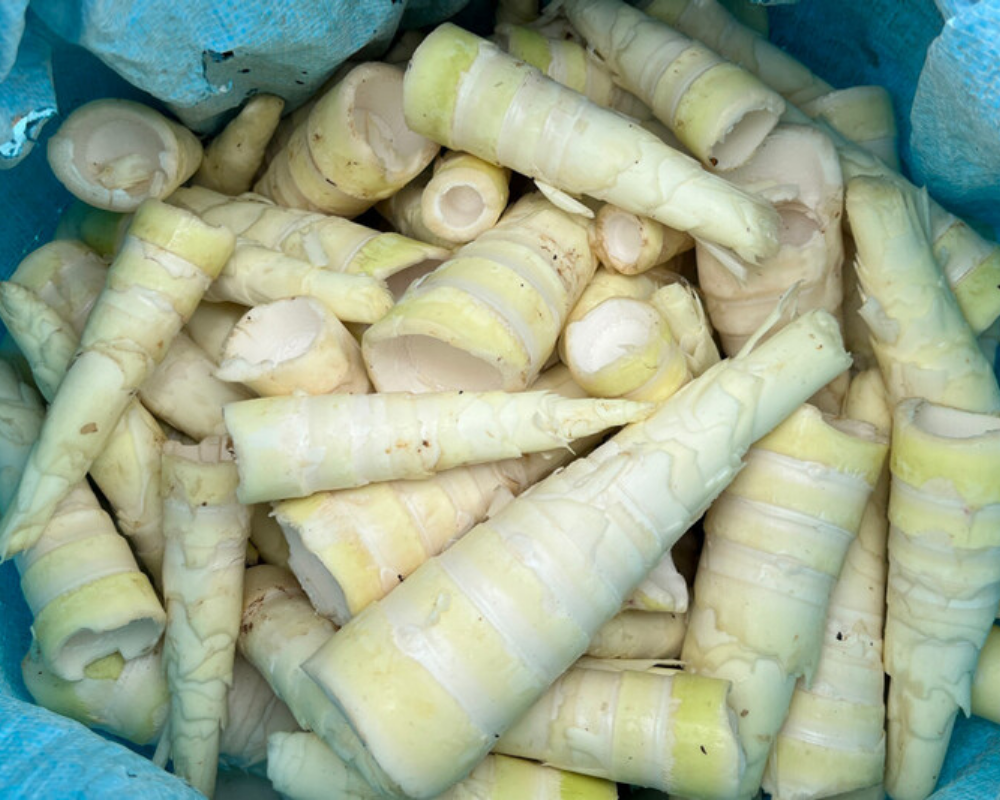 mang-dang-que-phong