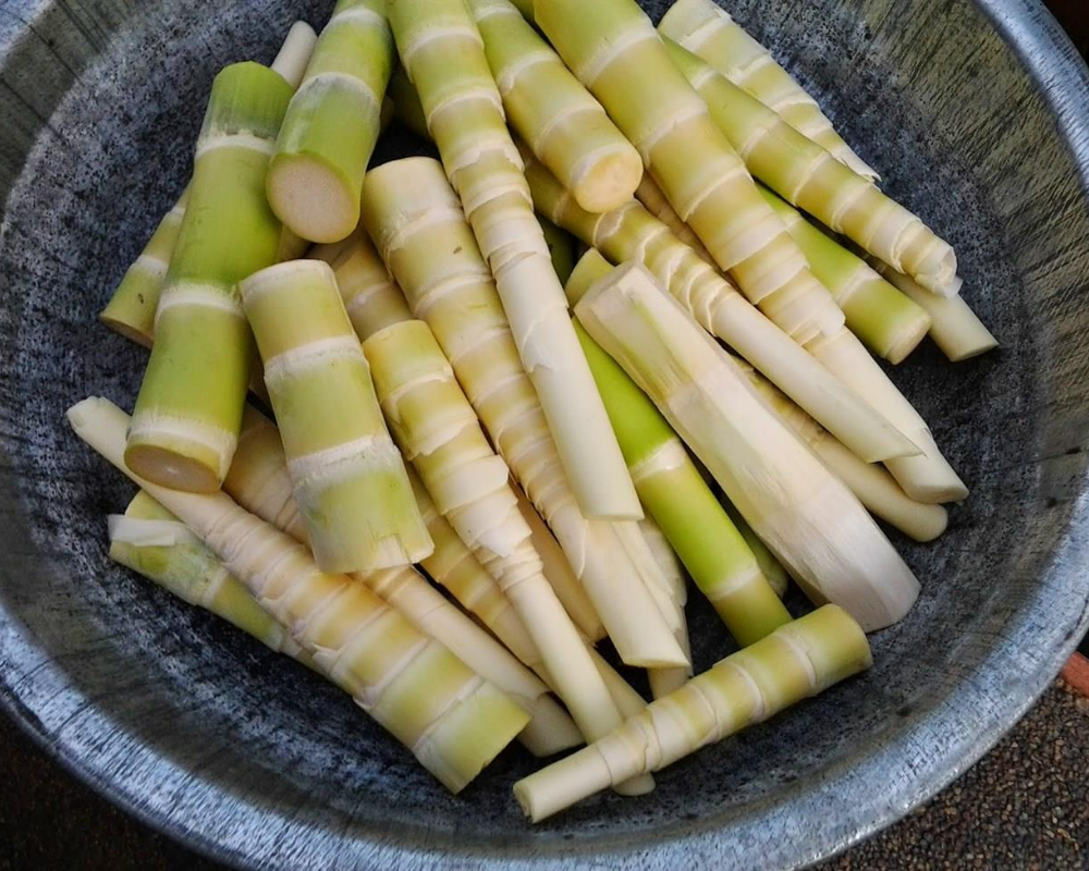 mang-le-dak-lak