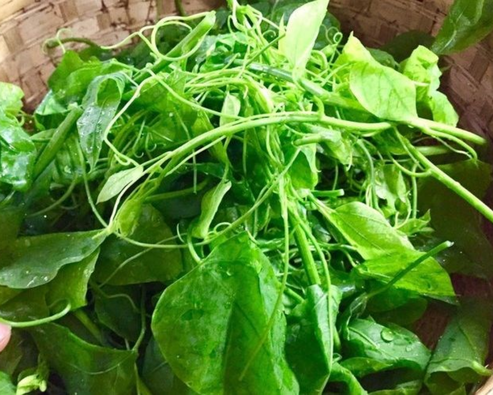 rau-bo-khai