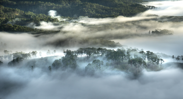 da-lat-fog-2
