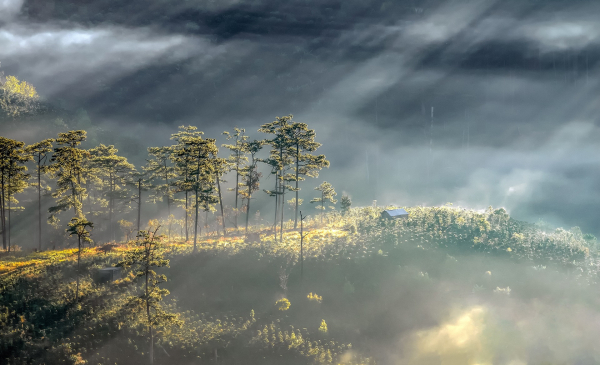 dalat-hills