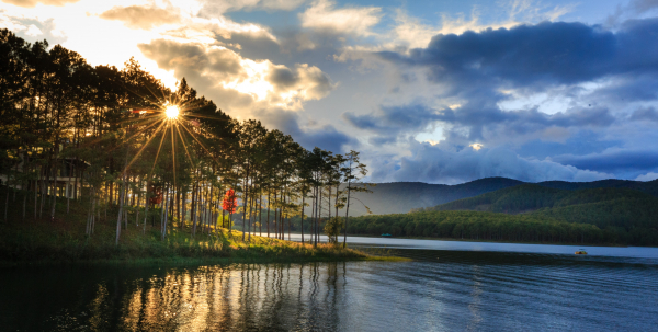 dalat-pine-forest-1