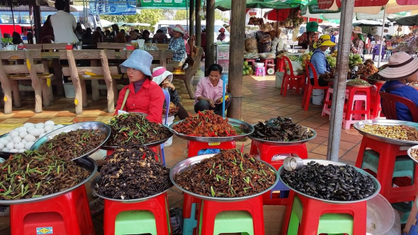 cambodia-spider-market-in-skun-2