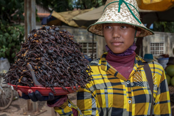 cambodia-spider-market-in-skun