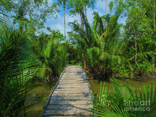 can-tho-local-bridge