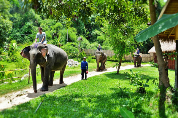 luang-prabang-elephant-camp-2