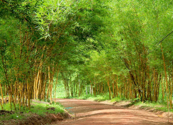 luang-prabang-pha-tad-ke-botanical-garden