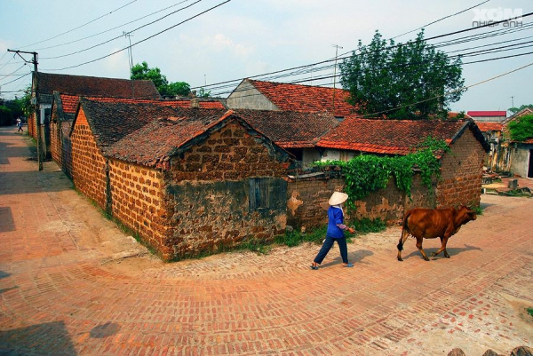 hanoi-duong-lam-ancient-village-7