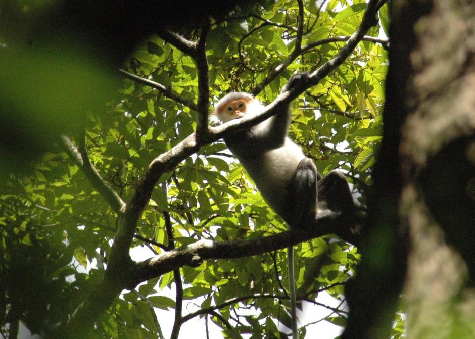 kontum-kon-ka-king-national-park