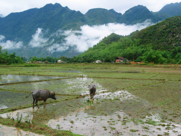 mai-chau-pomcoongvillage