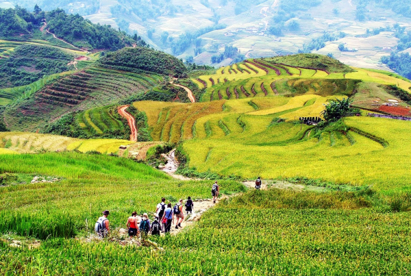 sapa-road-to-village-1