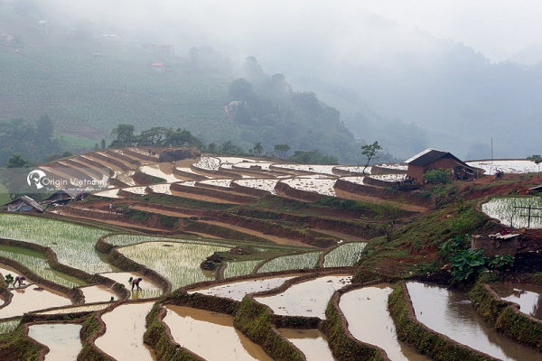 sapa-y-linh-ho-2