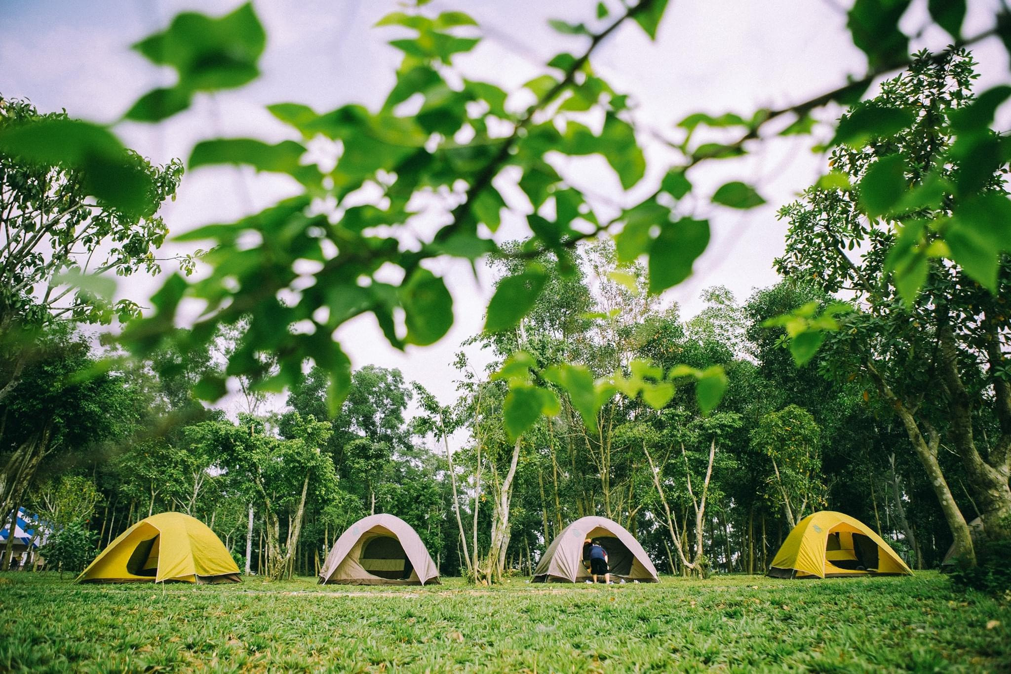 camping-tents